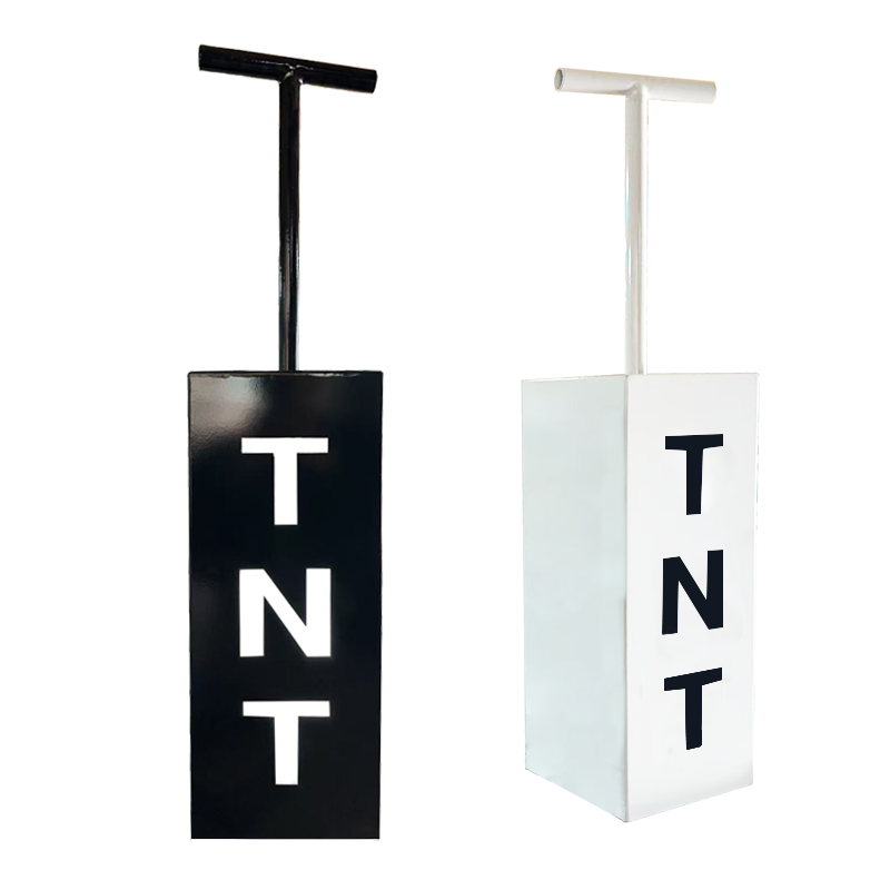 TNTコントロールキャノン性別発表セット大型電子パウダーマシ - Confetti Cannon Tube のレビューと価格